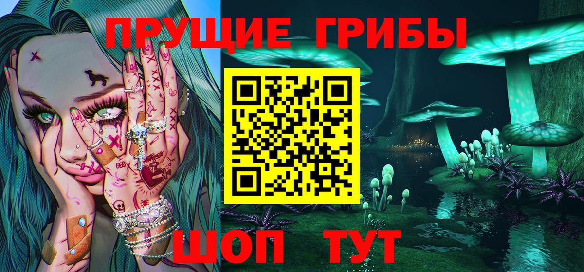 Псилоцибиновые грибы Cubensis  Галлюциногенные грибы GOLDEN TEACHER  наркотики  Мариинск  Вход с VPN 