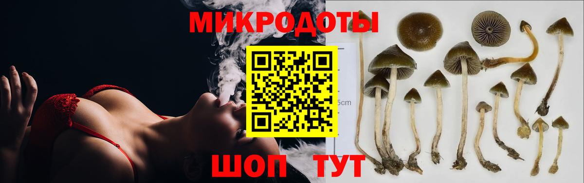Галлюциногенные грибы мухоморы Мариинск